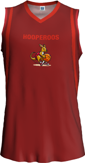 Player singlet